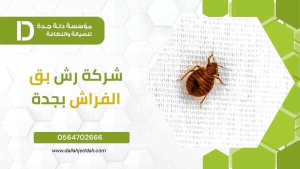 شركة رش بق الفراش بجدة