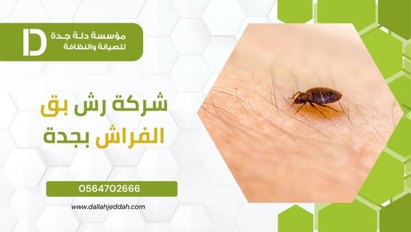 شركة رش بق الفراش بجدة