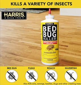 bedbug4 6 bedbug4