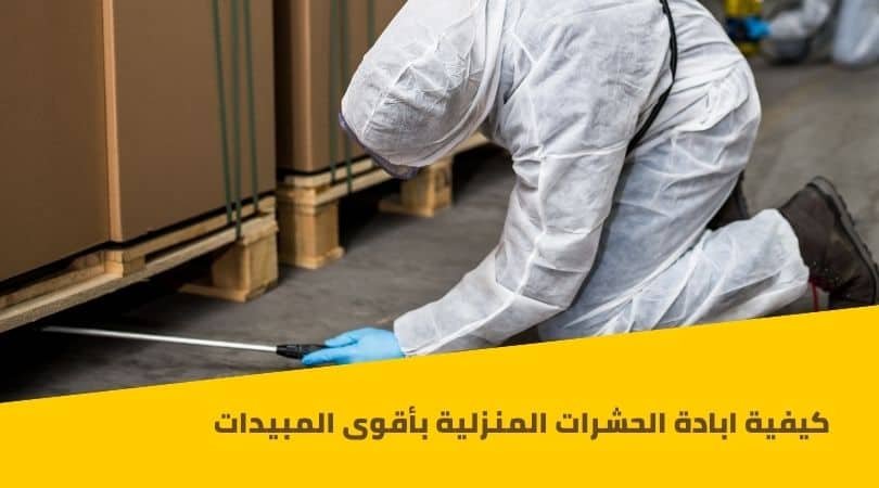 ابادة حشرات المنزل و الفراش و القوارض بأقوى المبيدات