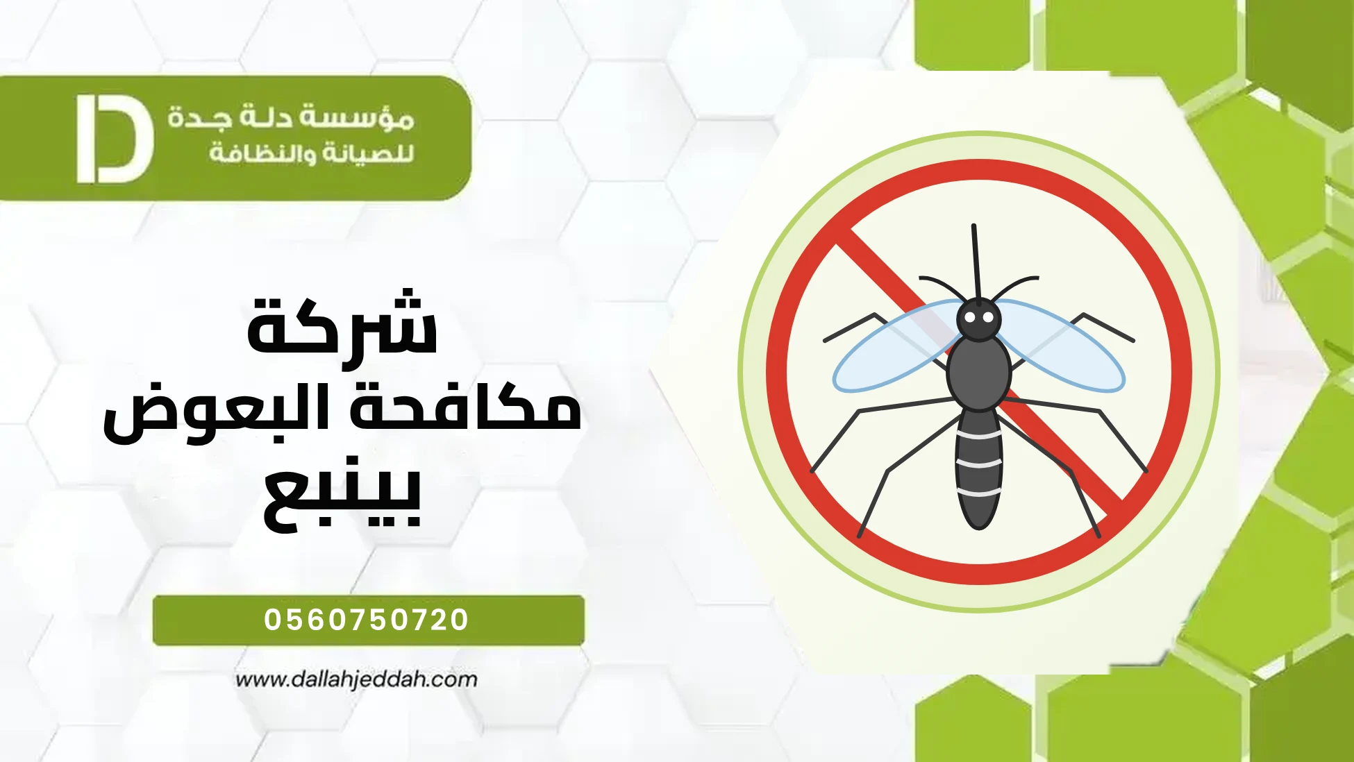 شركة مكافحة البعوض بينبع شركة مكافحة البعوض بينبع