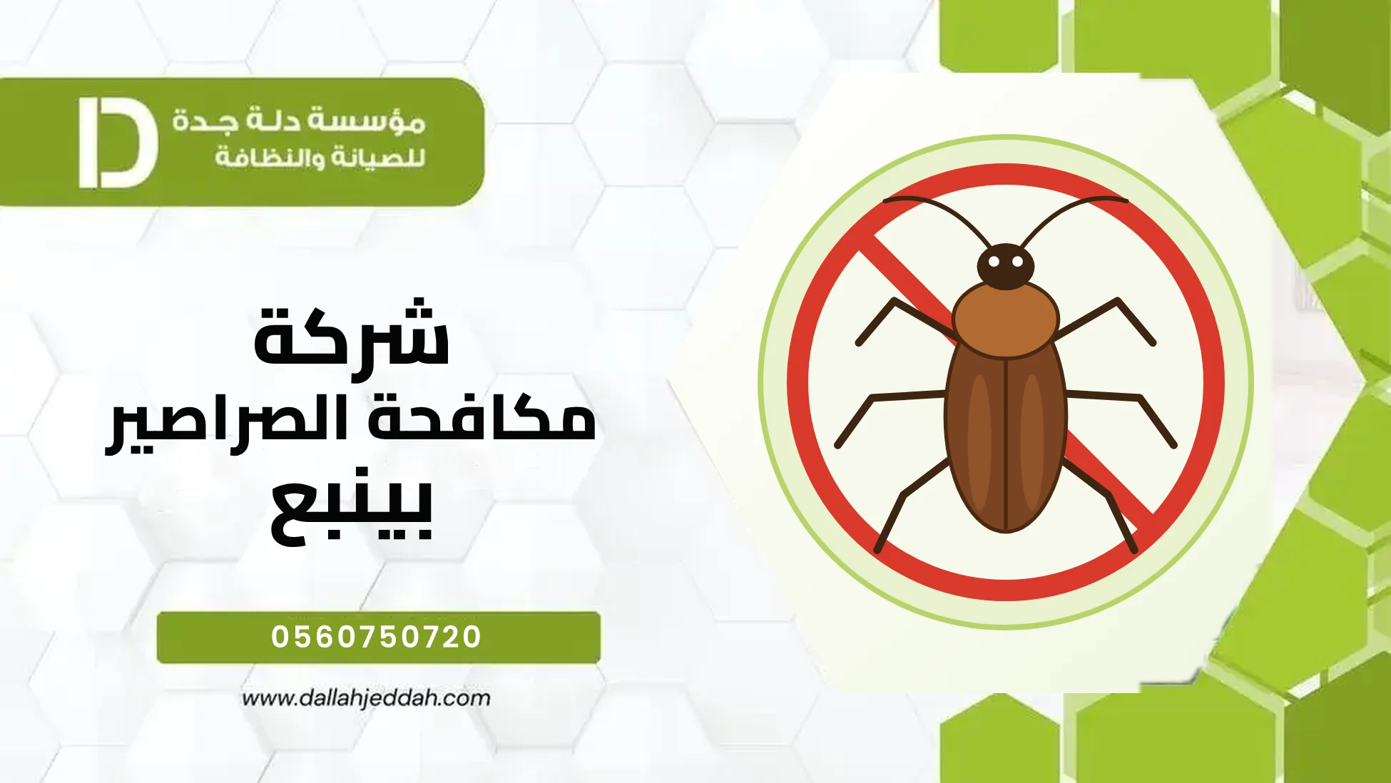 شركة مكافحة الصراصير بينبع شركة مكافحة الصراصير بينبع